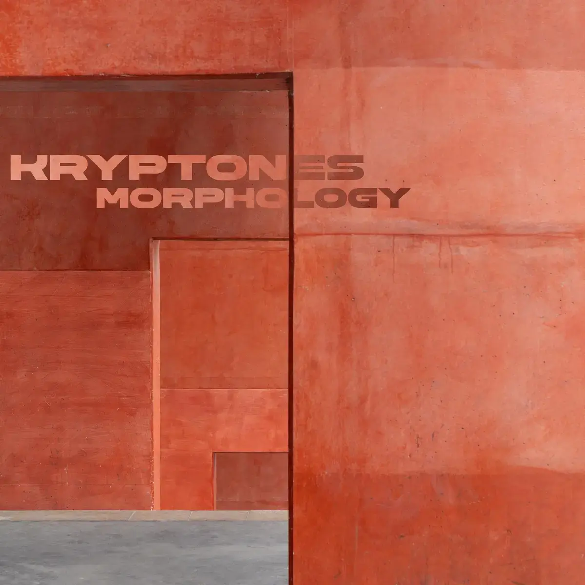 Morphology
